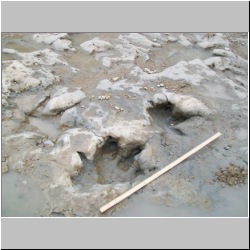 100_0788 (2009-27-07).JPG